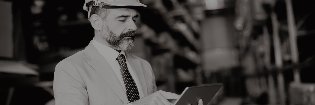 Administración de la Cadena de Suministro II